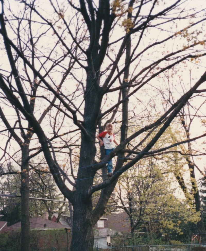    Picture: My childhood tree   