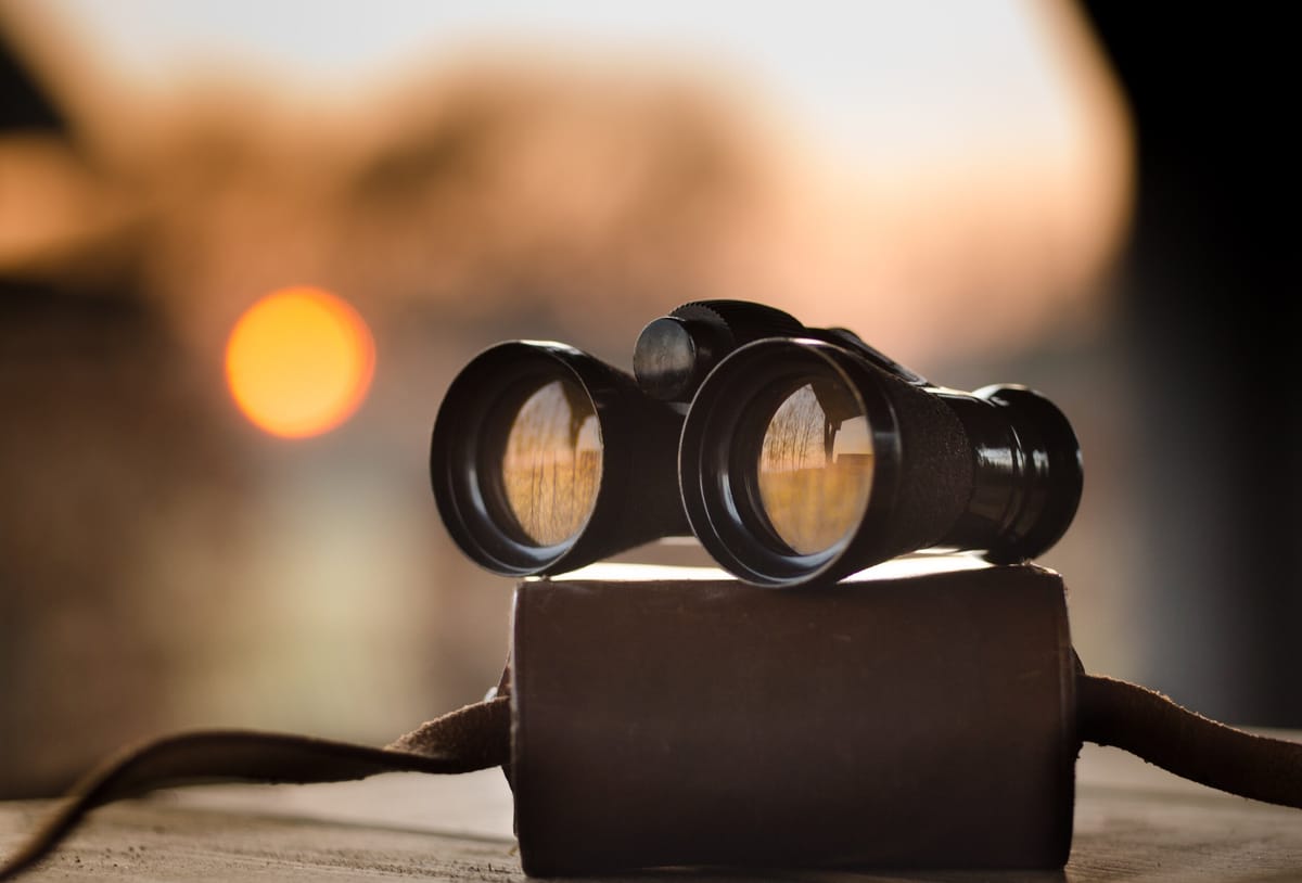 Are You Trying To See Or Be Seen?