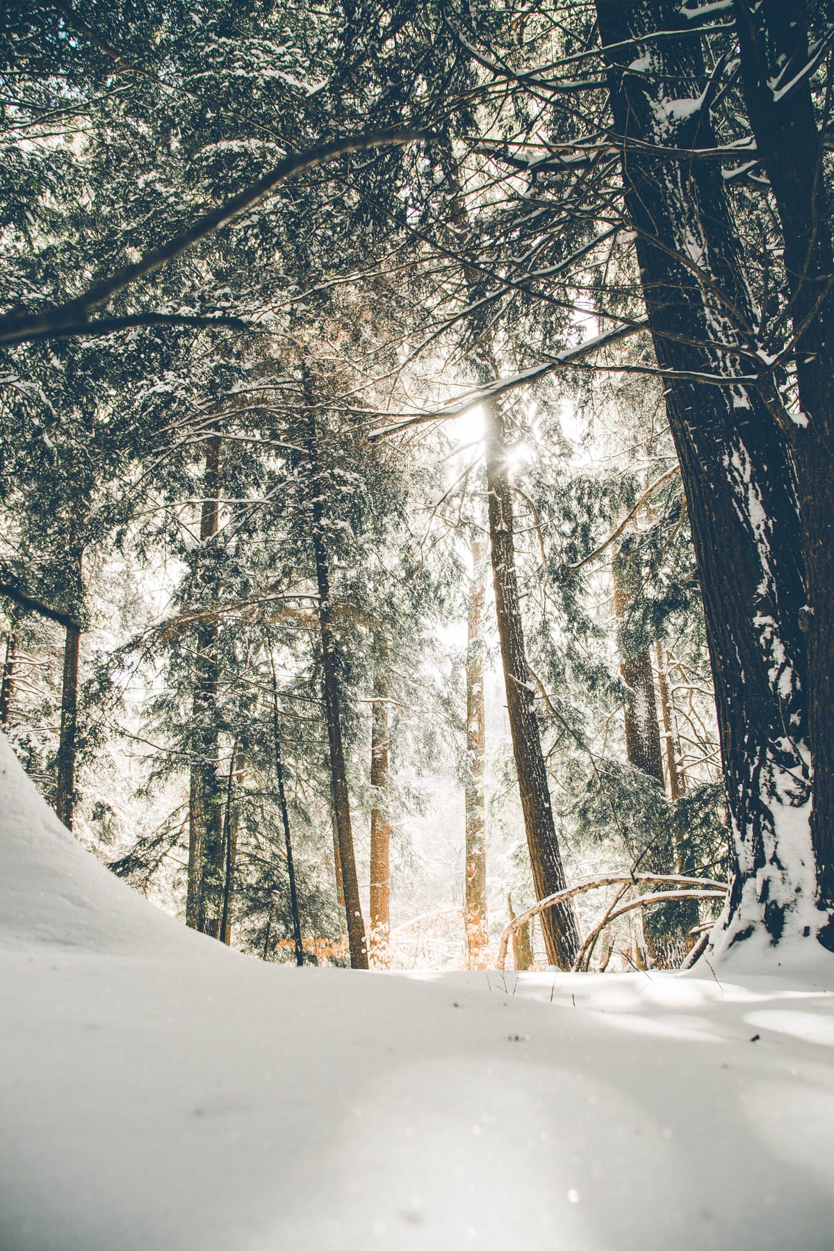 [Free Toolkit] Solutions For All Your Storytelling Goals!