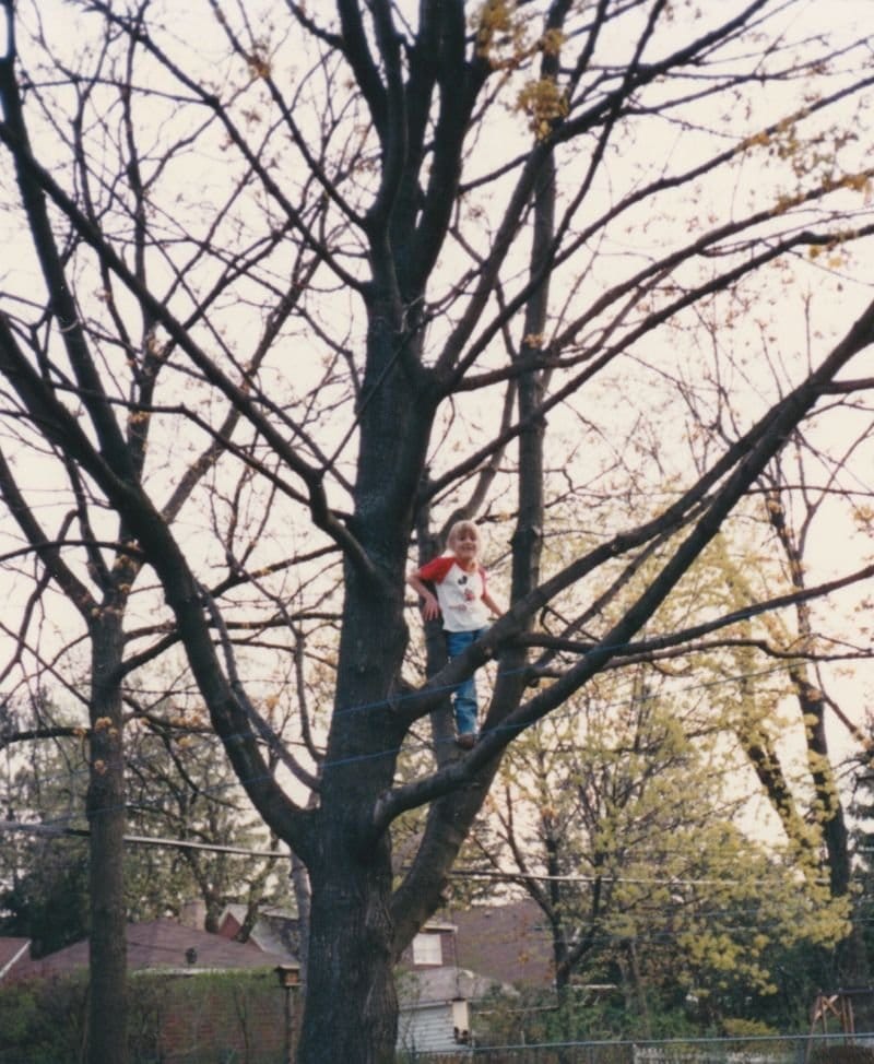 The Tree And The Garden